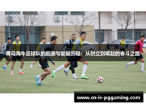 青岛海牛足球队的起源与发展历程：从创立到崛起的奋斗之路