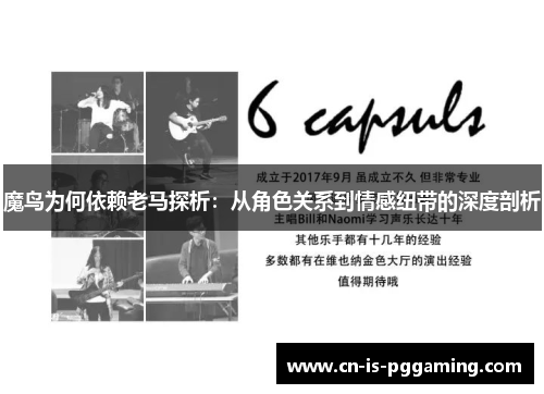 魔鸟为何依赖老马探析:从角色关系到情感纽带的深度剖析 魔鸟为何依赖老马探析:从角色关系到情感纽带的深度剖析